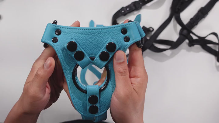 Strap-on Leather Harness by NYTC